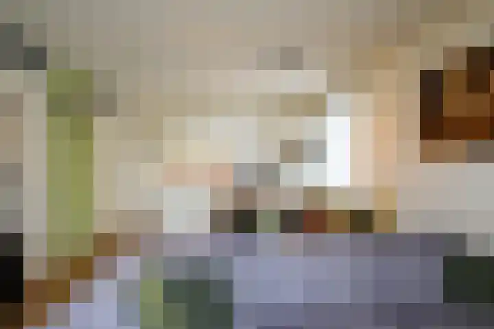 Duiker 77 Huizen thumbnail 21