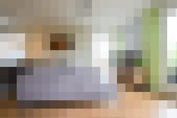 Duiker 77 Huizen thumbnail 22