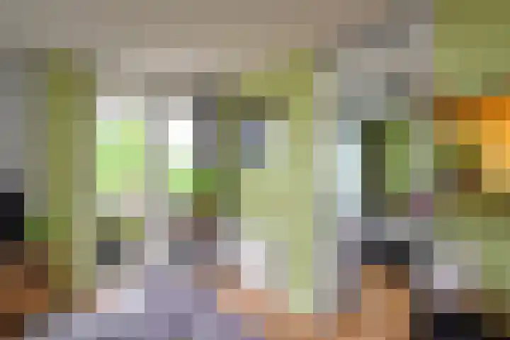 Duiker 77 Huizen thumbnail 23