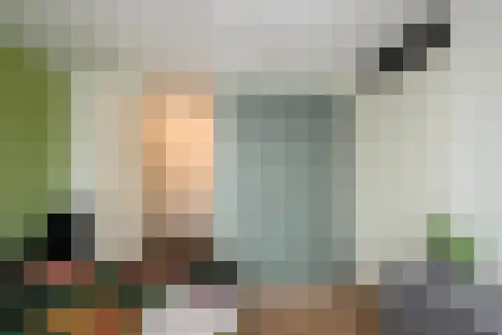 Duiker 77 Huizen thumbnail 27