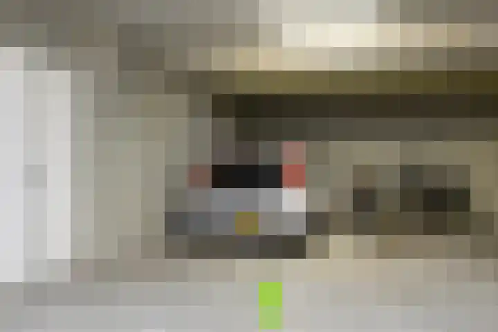 Duiker 77 Huizen thumbnail 30