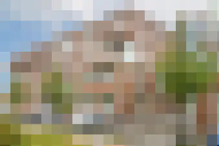 Duiker 77 Huizen thumbnail 32