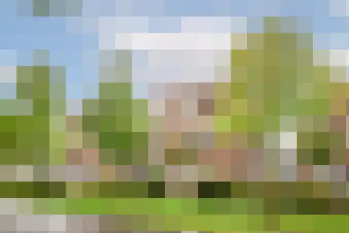 Duiker 77 Huizen thumbnail 33