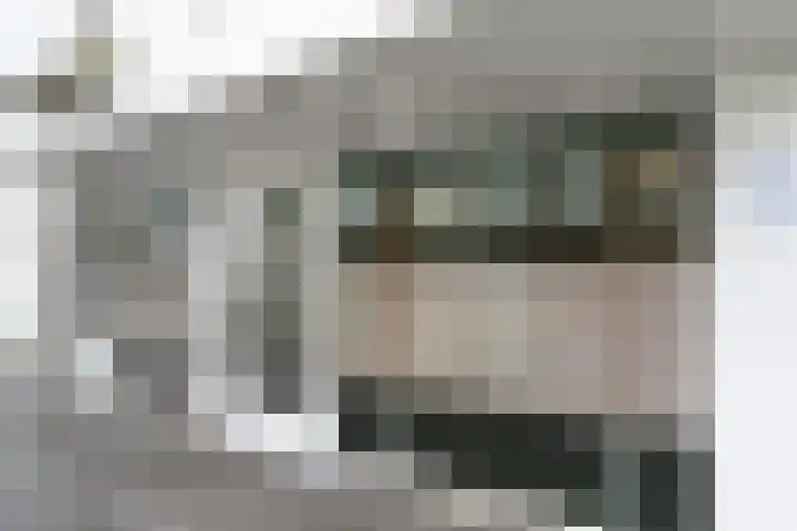 Duiker 77 Huizen thumbnail 5