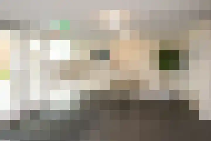 Duiker 77 Huizen thumbnail 6