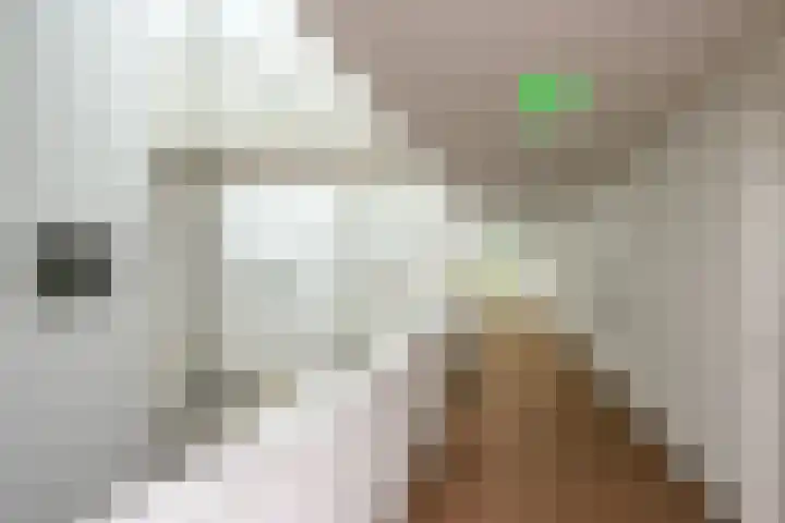 Duiker 77 Huizen thumbnail 9