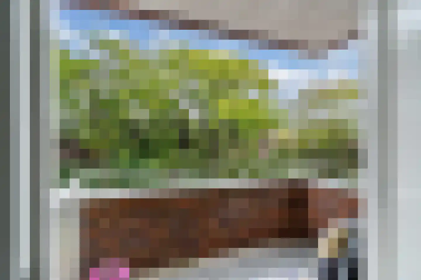 Duiker 89 Huizen thumbnail 13