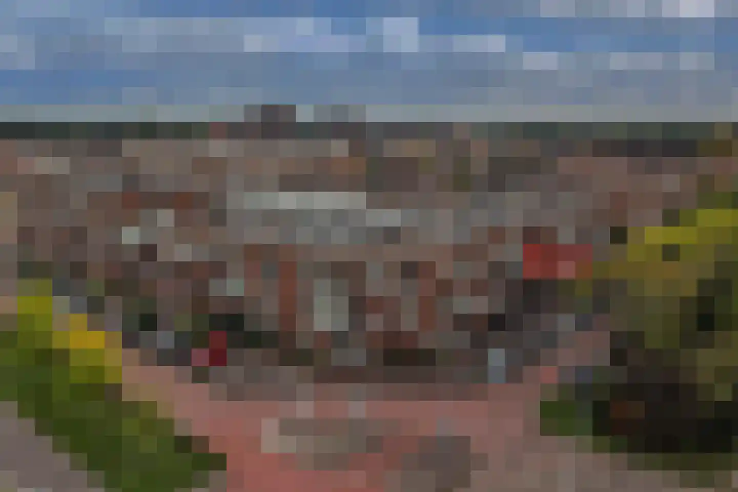 Duiker 89 Huizen thumbnail 32