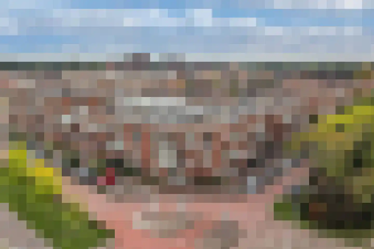 Duiker 89 Huizen thumbnail 33