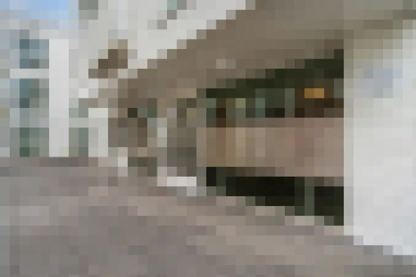 Duiker 89 Huizen thumbnail 6