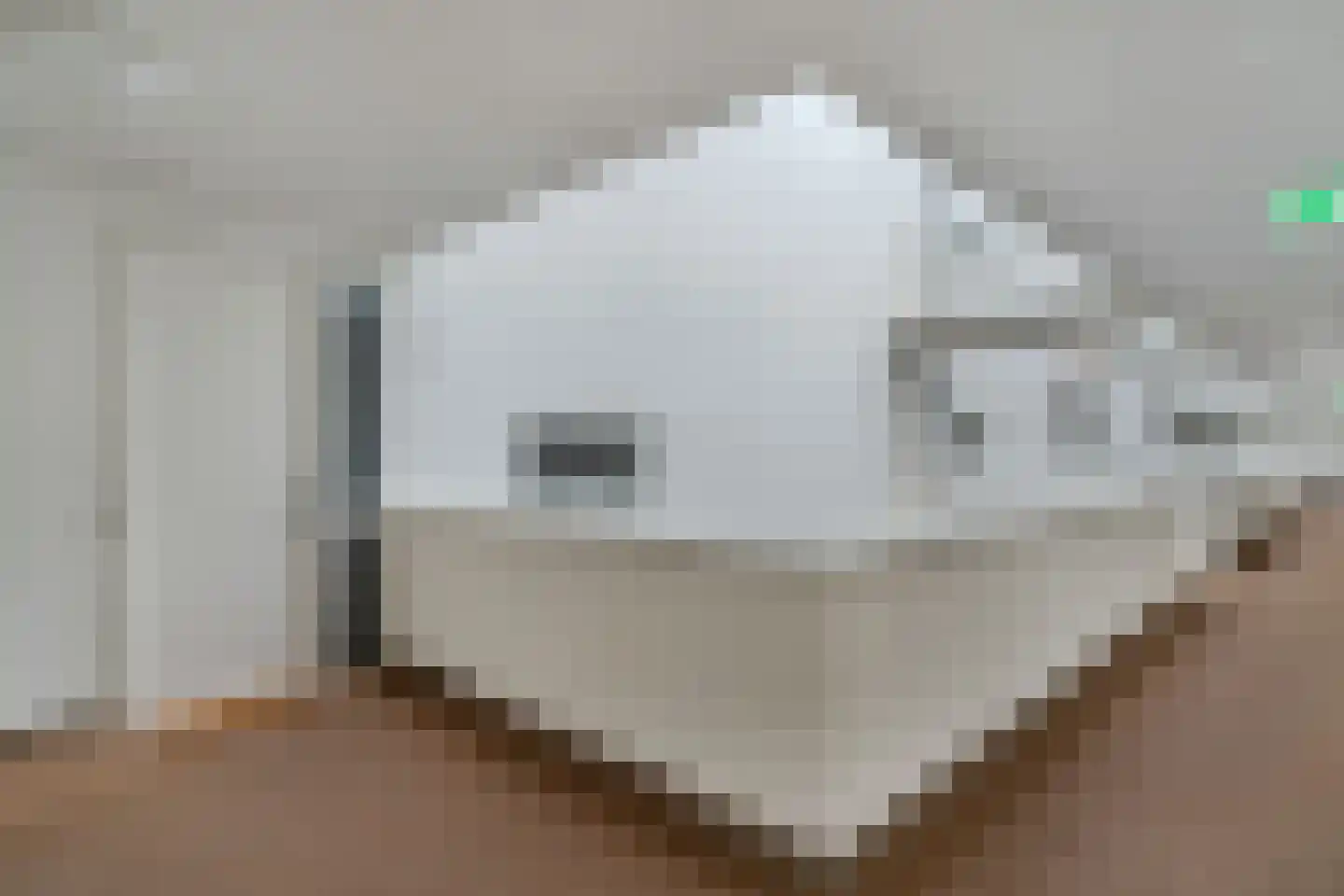 Duiker 89 Huizen thumbnail 8