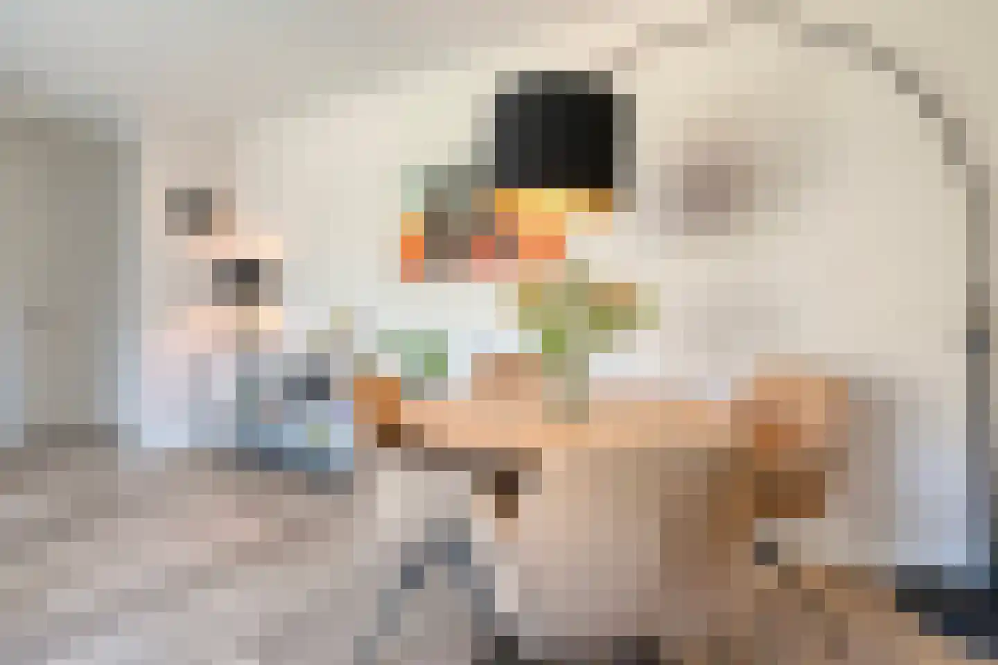 Duiker 95 Zwolle thumbnail 10