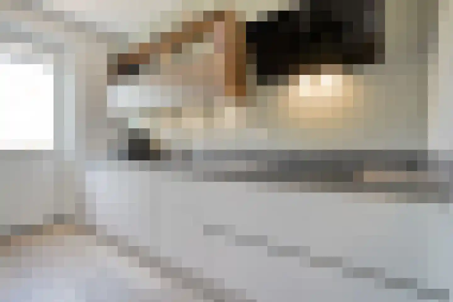 Duiker 95 Zwolle thumbnail 13