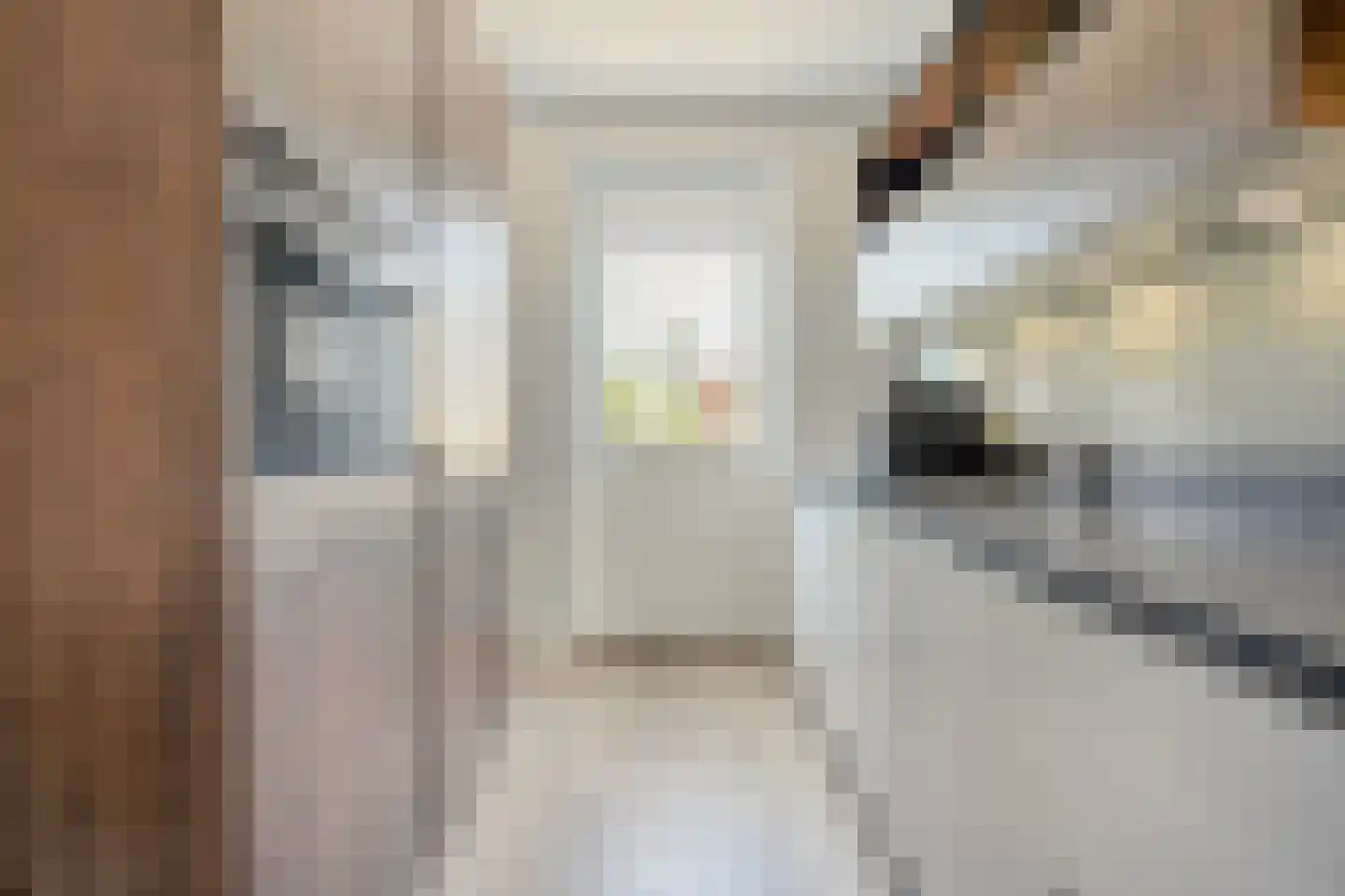 Duiker 95 Zwolle thumbnail 14