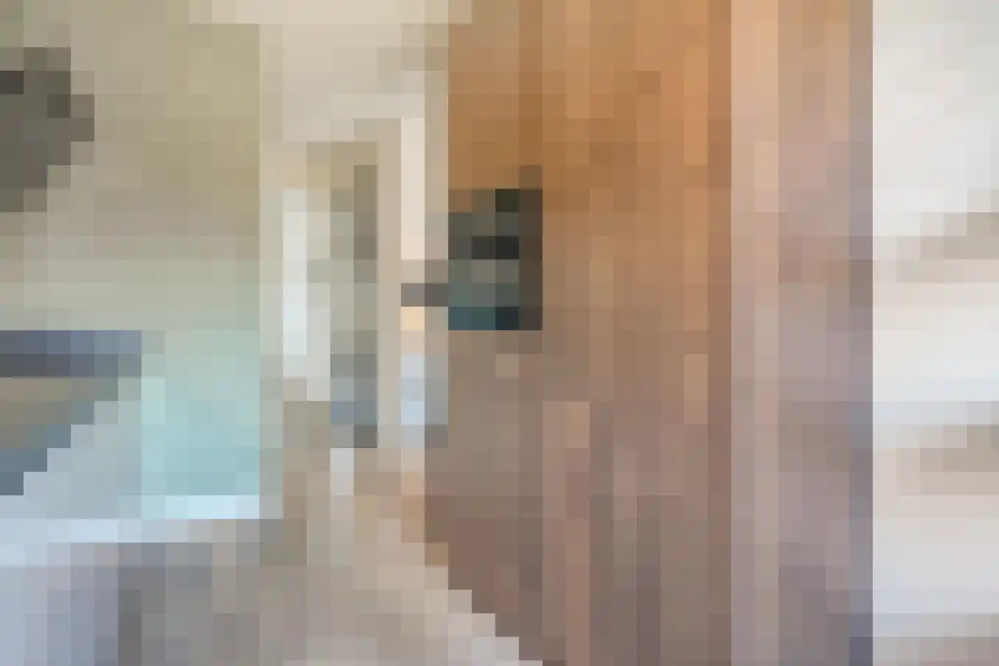 Duiker 95 Zwolle thumbnail 15