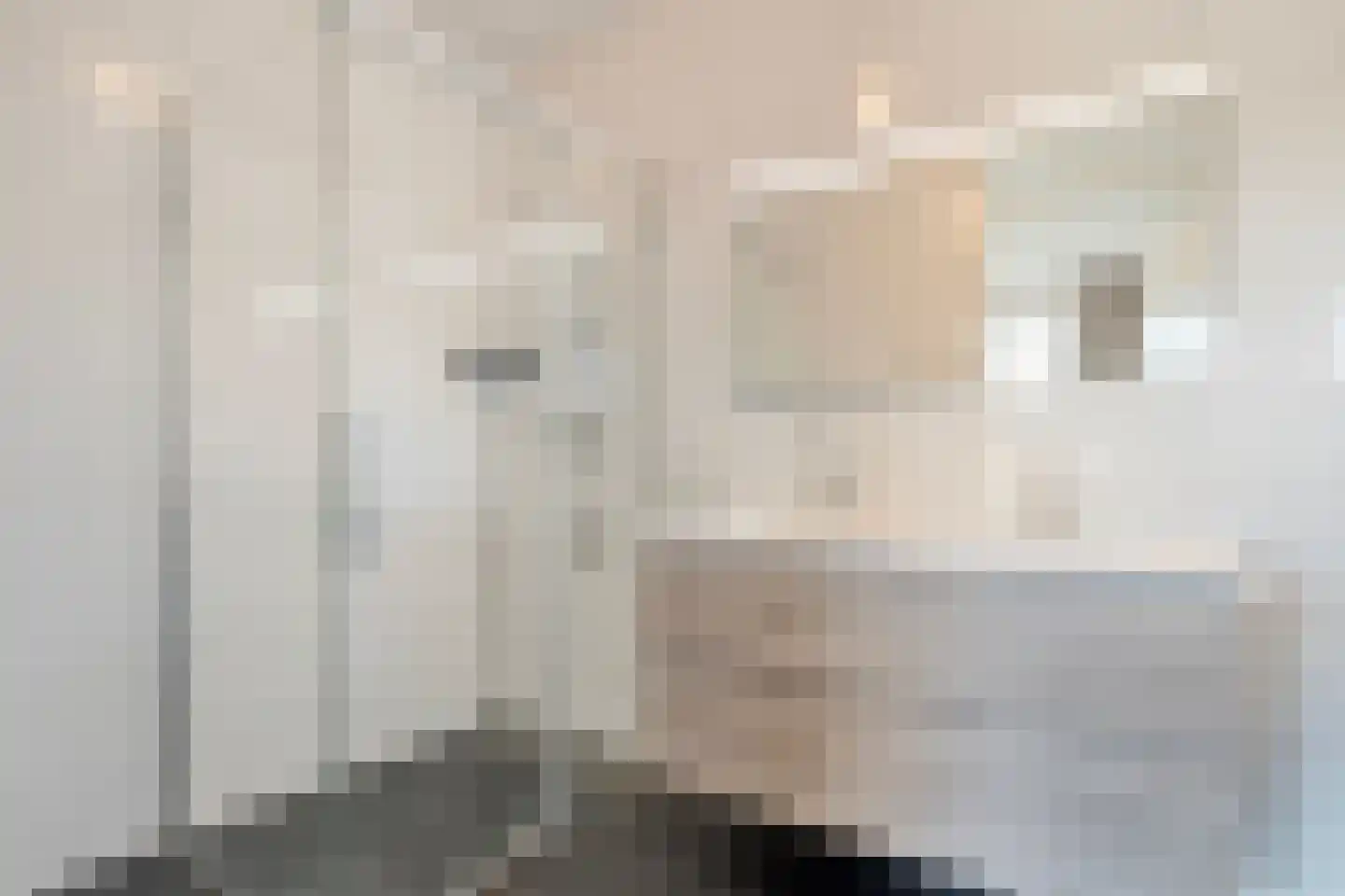 Duiker 95 Zwolle thumbnail 21