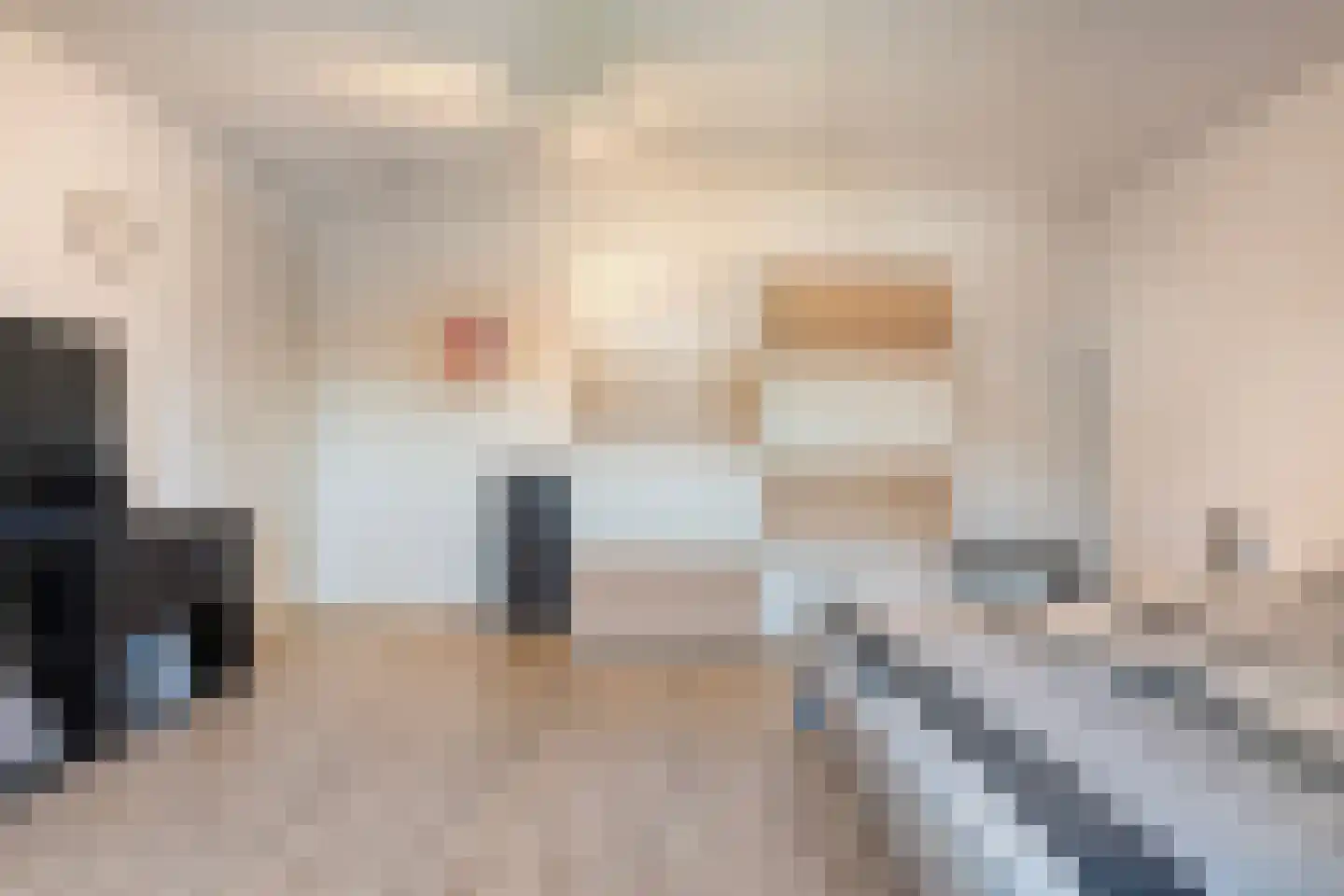 Duiker 95 Zwolle thumbnail 28