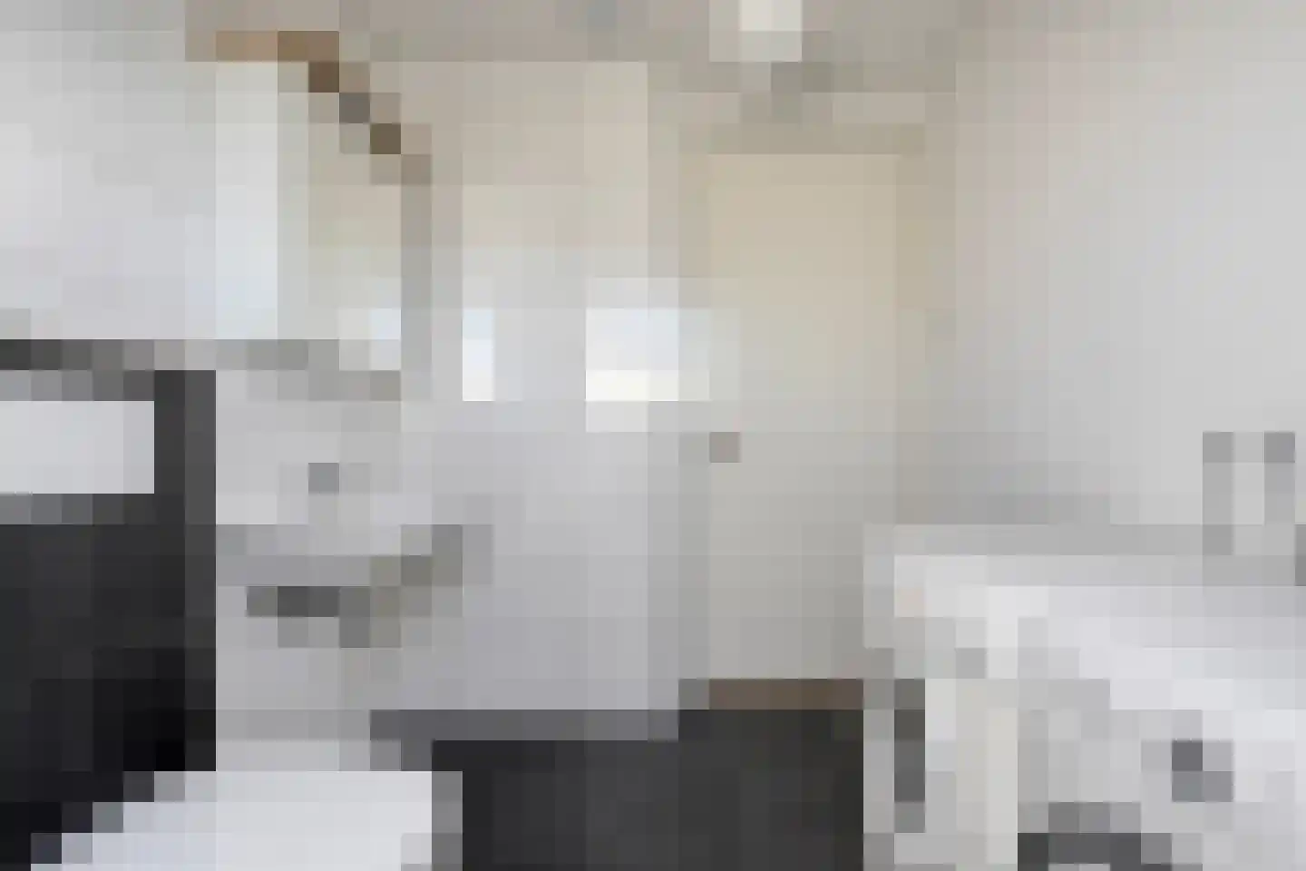 Duiker 95 Zwolle thumbnail 32