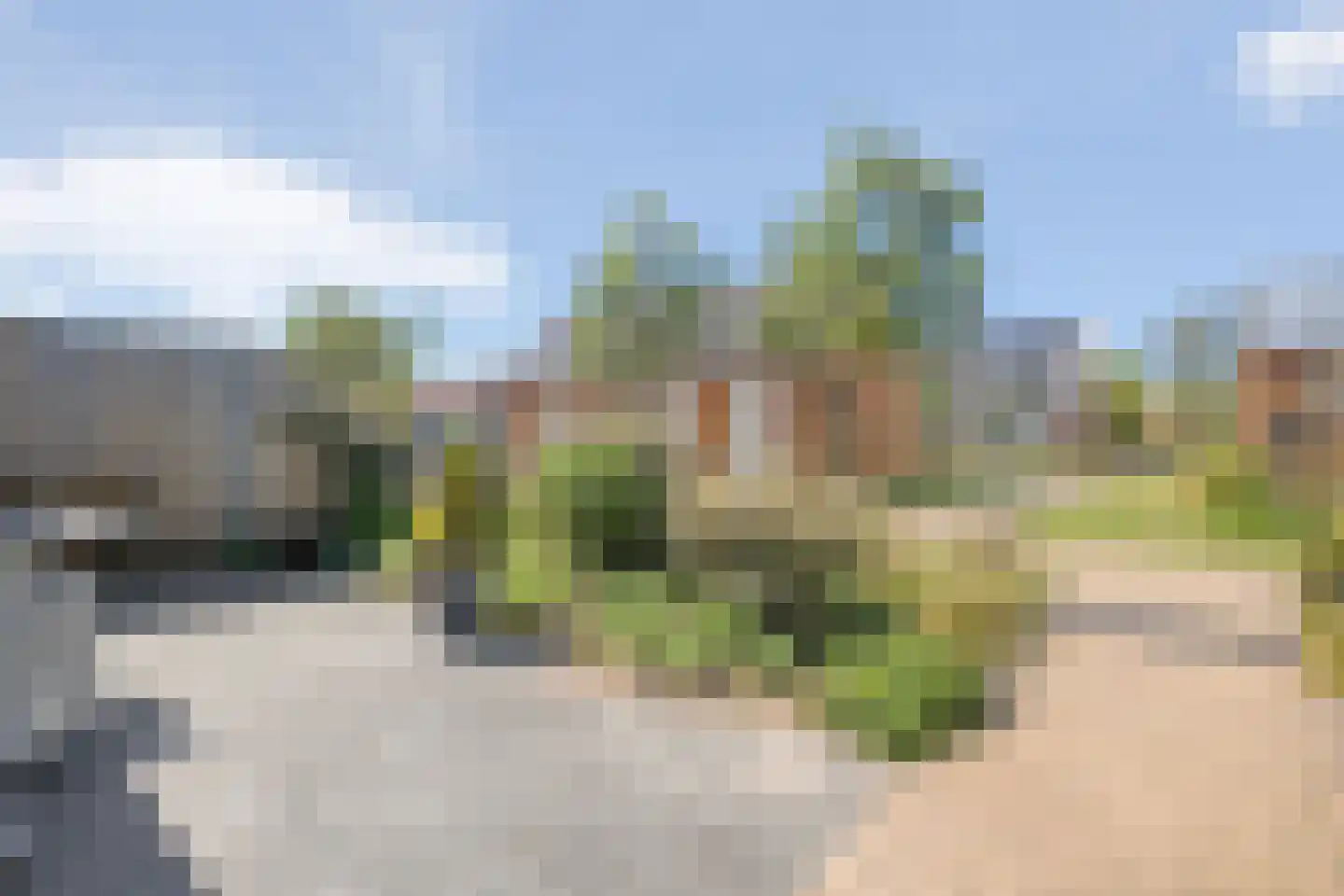 Duiker 95 Zwolle thumbnail 34