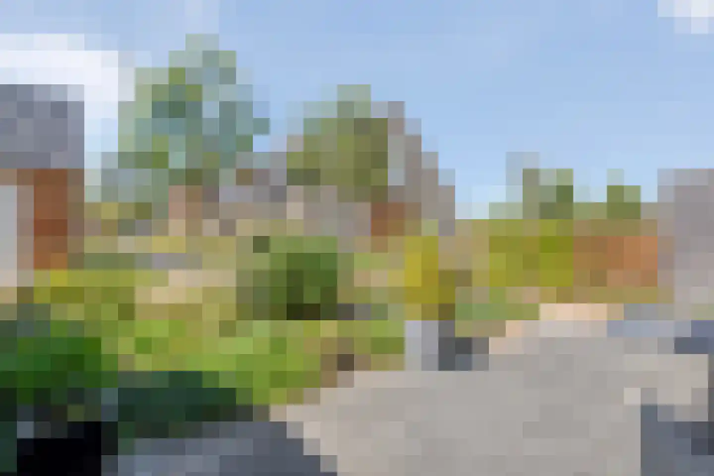 Duiker 95 Zwolle thumbnail 35