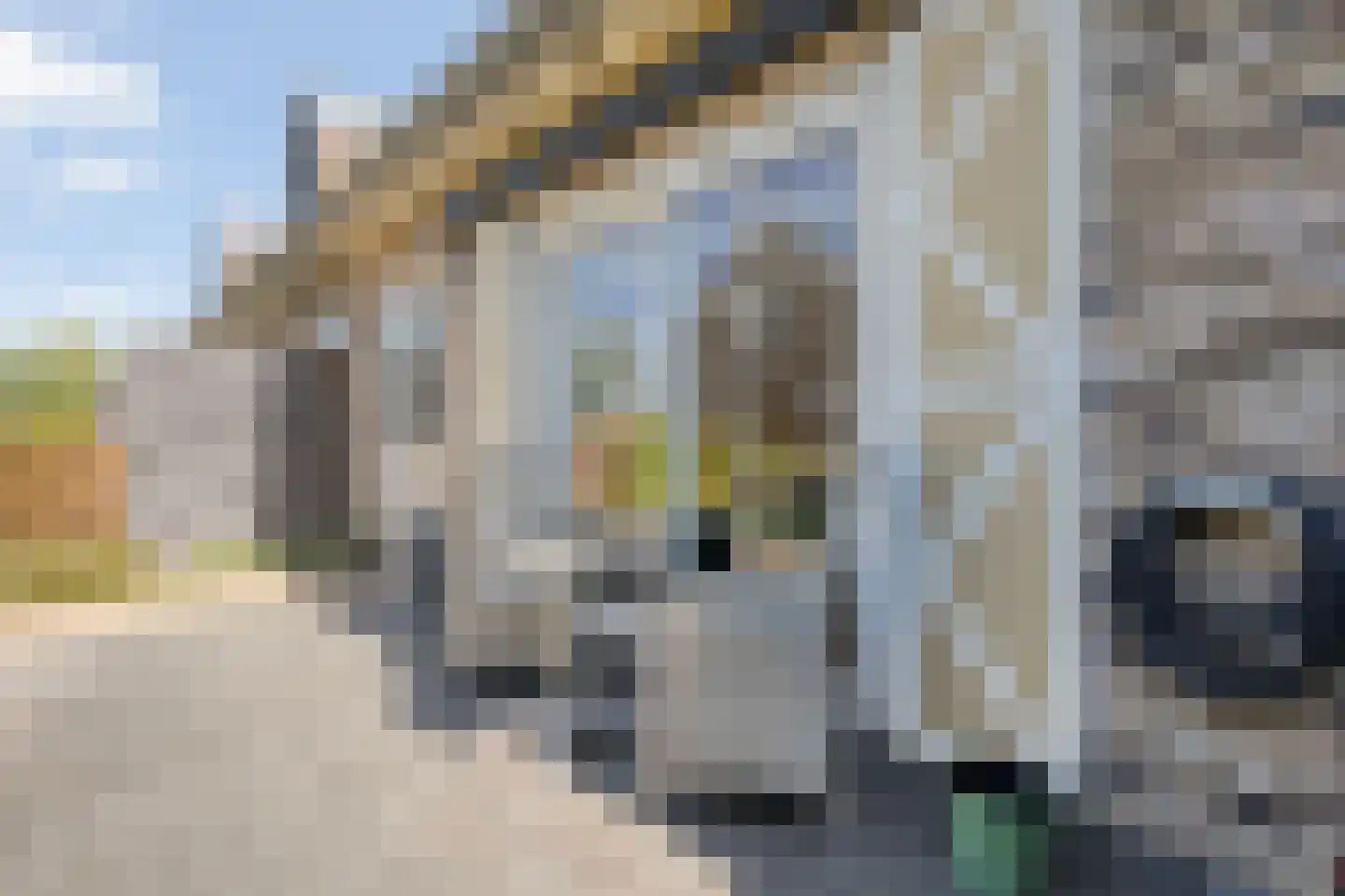 Duiker 95 Zwolle thumbnail 37