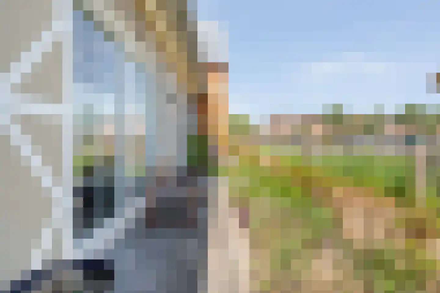 Duiker 95 Zwolle thumbnail 38