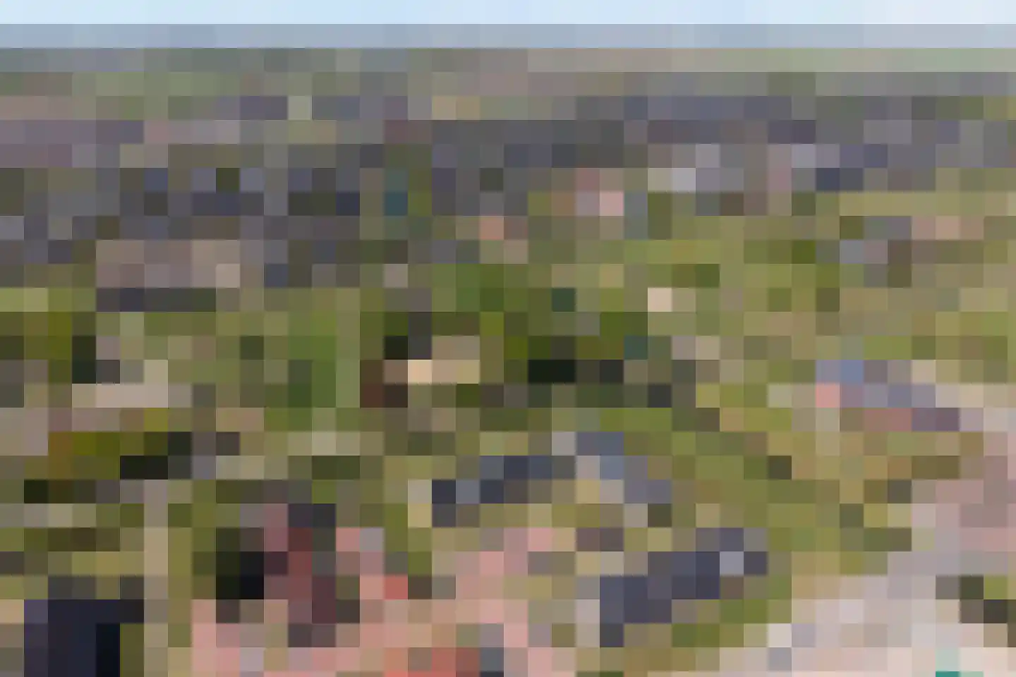Duiker 95 Zwolle thumbnail 49