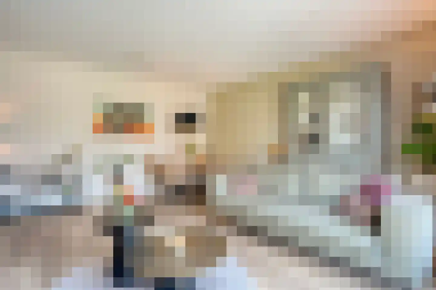 Duiker 95 Zwolle thumbnail 7