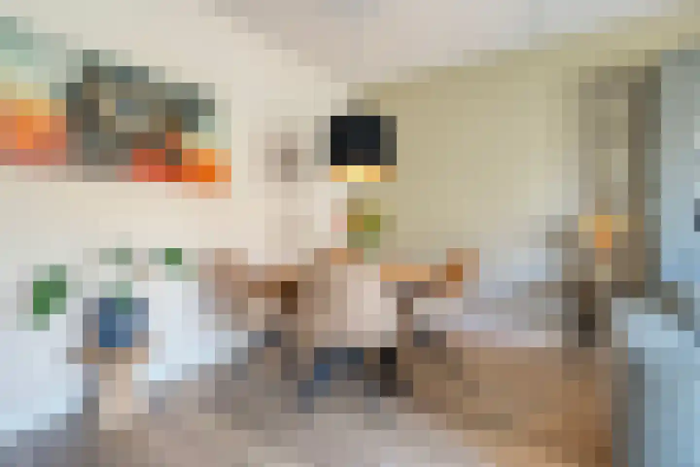 Duiker 95 Zwolle thumbnail 9