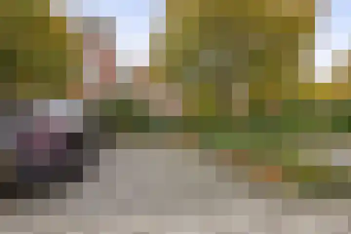 Duikerlaan 294 Capelle aan den IJssel thumbnail 33