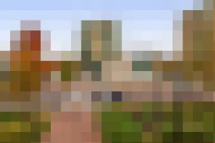 Duikerlaan 294 Capelle aan den IJssel thumbnail 36