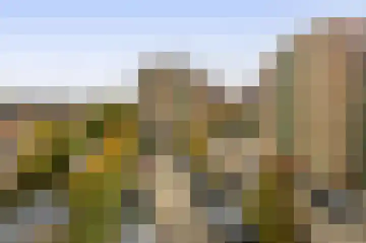 Duikerlaan 294 Capelle aan den IJssel thumbnail 37