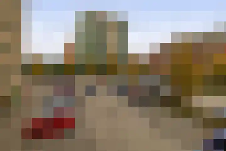 Duikerlaan 294 Capelle aan den IJssel thumbnail 40