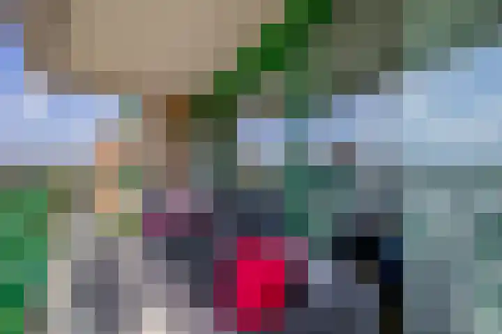 Duikerlaan 314 Capelle aan den IJssel thumbnail 32