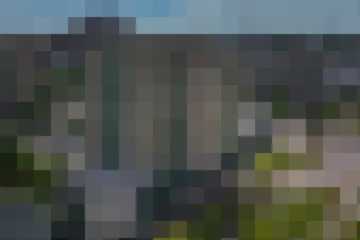 Duikerlaan 314 Capelle aan den IJssel thumbnail 34