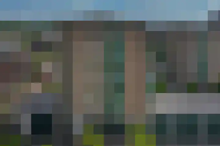Duikerlaan 314 Capelle aan den IJssel thumbnail 36