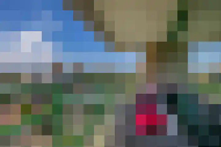 Duikerlaan 314 Capelle aan den IJssel thumbnail 4