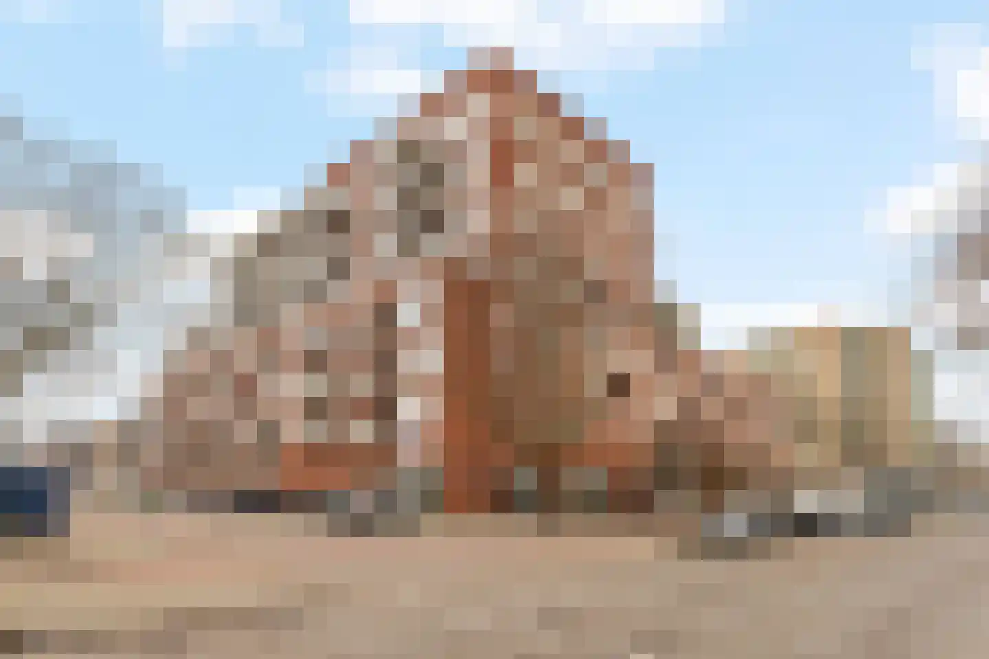 Duikerlaan 338 A Capelle aan den IJssel thumbnail 35