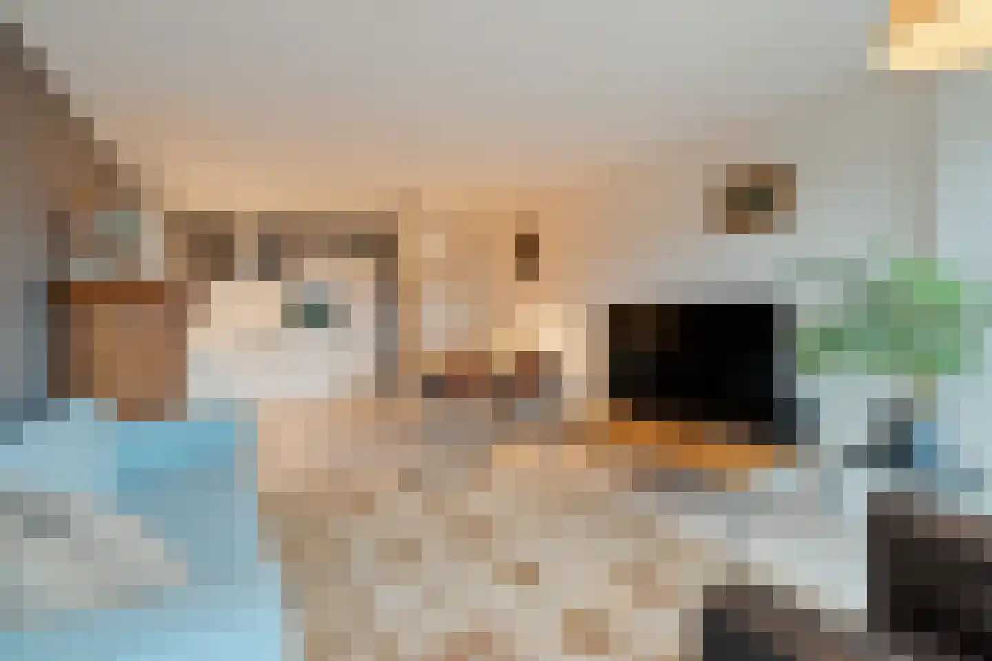 Duikerlaan 338 A Capelle aan den IJssel thumbnail 8