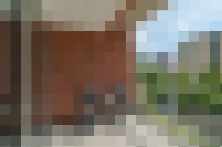 Duikerlaan 338 R Capelle aan den IJssel thumbnail 6