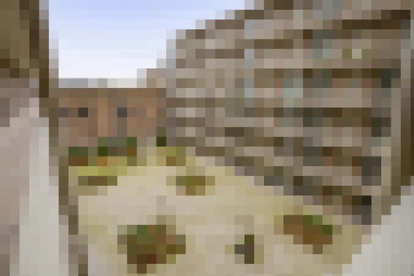 Duikerlaan 342 A Capelle aan den IJssel thumbnail 8