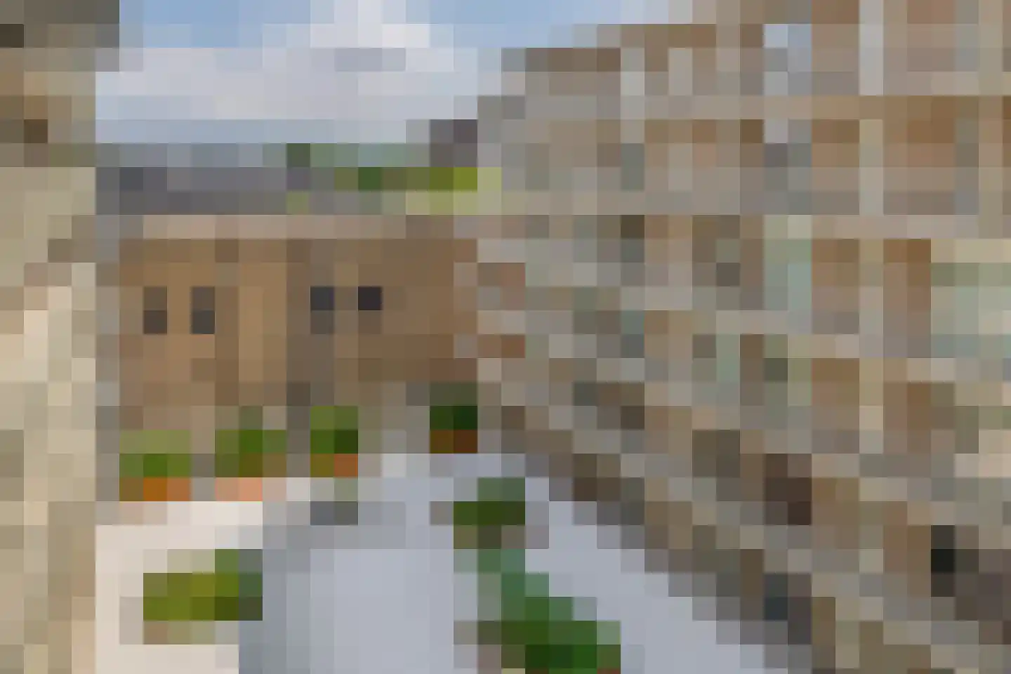 Duikerlaan 344 B Capelle aan den IJssel thumbnail 10