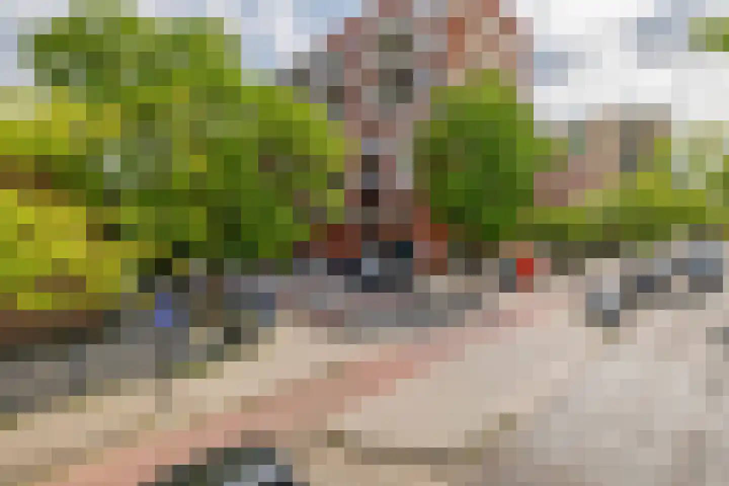 Duikerlaan 344 B Capelle aan den IJssel thumbnail 39