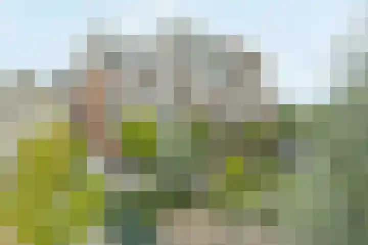 Duikerlaan 346 D Capelle aan den IJssel thumbnail 27