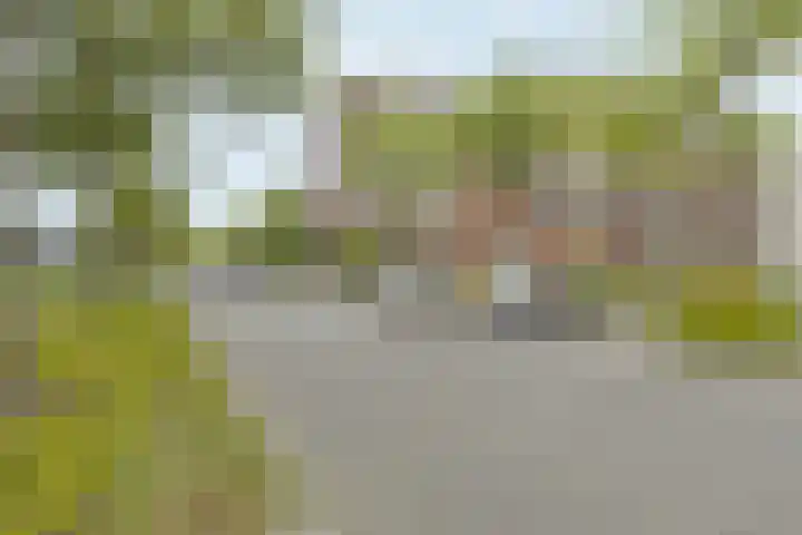 Duikerlaan 346 D Capelle aan den IJssel thumbnail 29