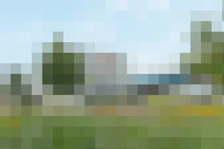Duikerlaan 346 D Capelle aan den IJssel thumbnail 31