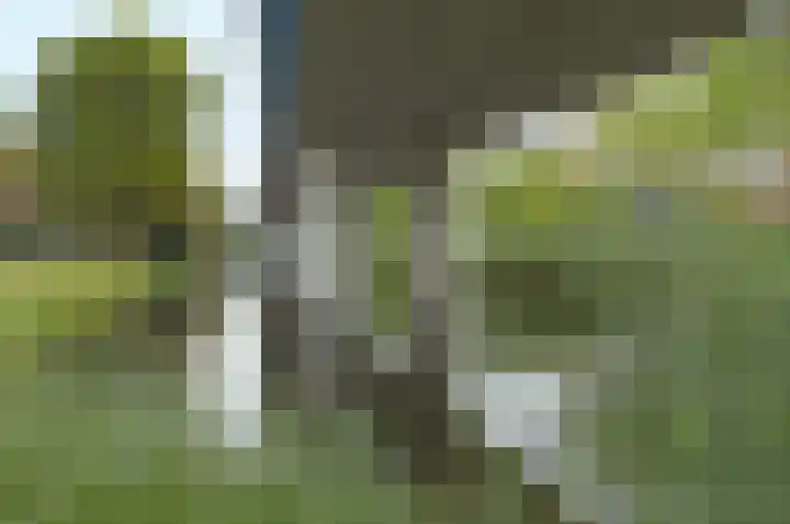 Duikerlaan 346 D Capelle aan den IJssel thumbnail 32