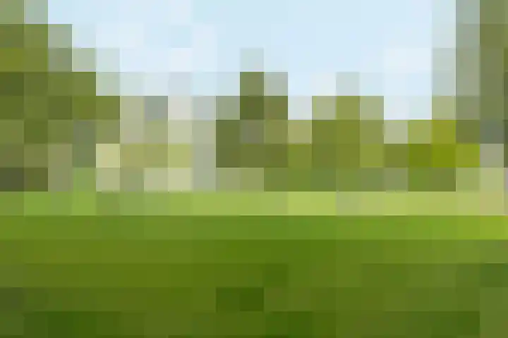 Duikerlaan 346 D Capelle aan den IJssel thumbnail 33
