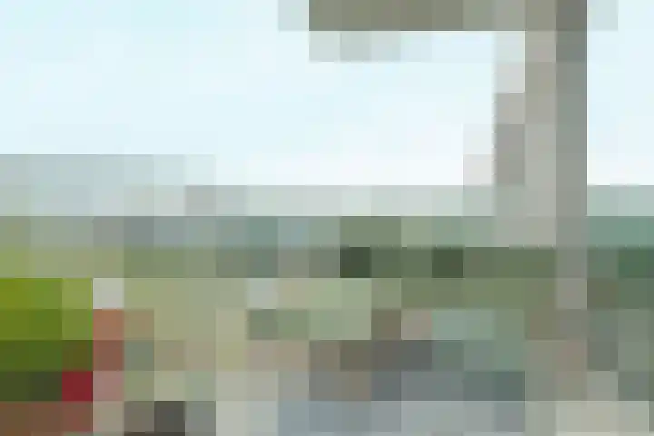 Duikerlaan 346 D Capelle aan den IJssel thumbnail 5