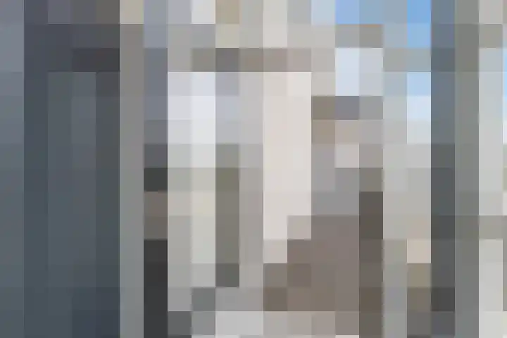 Duikerlaan 46 Capelle aan den IJssel thumbnail 31